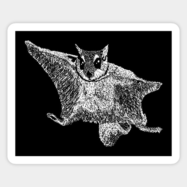 Flying Squirrel Art Sticker by Get Hopped Apparel